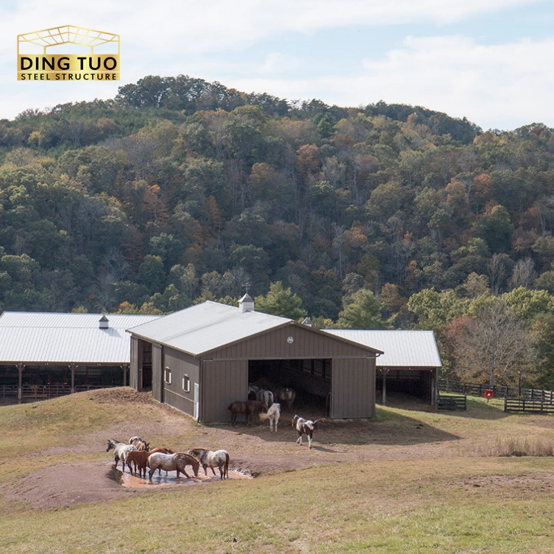 modern design steel structure building for cow and cattle dairy milking farm shed goat farm sheds