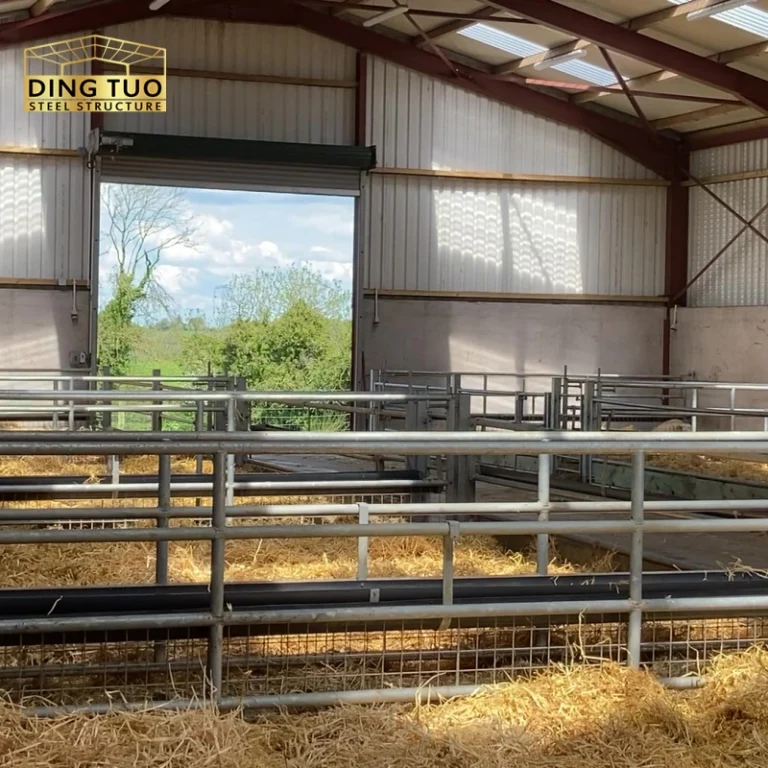 modern design steel structure building for cow and cattle dairy milking farm shed goat farm sheds