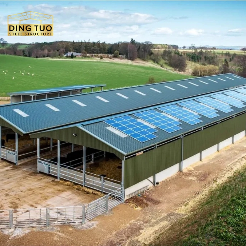 modern design steel structure building for cow and cattle dairy milking farm shed goat farm sheds