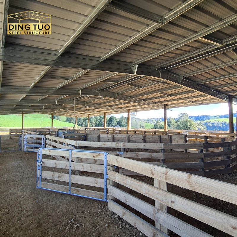 modern design steel structure building for cow and cattle dairy milking farm shed goat farm sheds