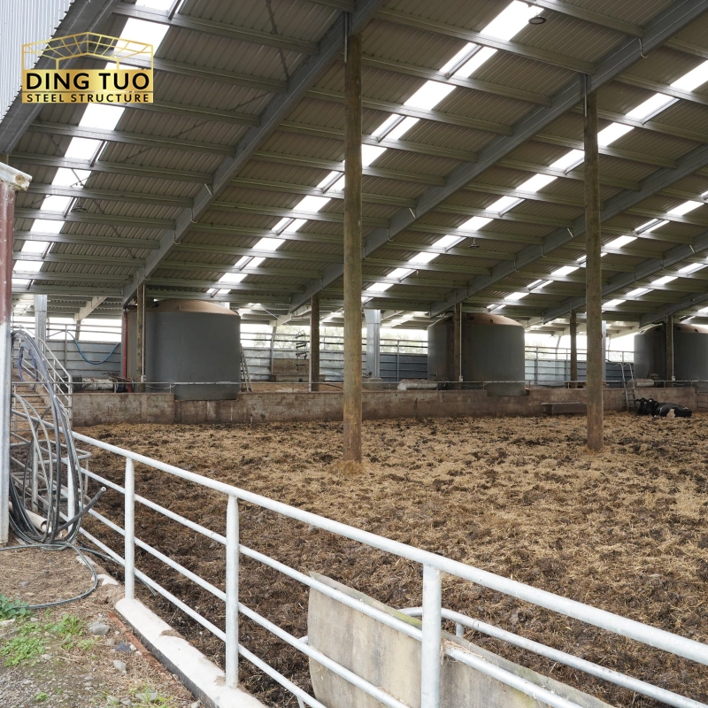 modern design steel structure building for cow and cattle dairy milking farm shed goat farm sheds