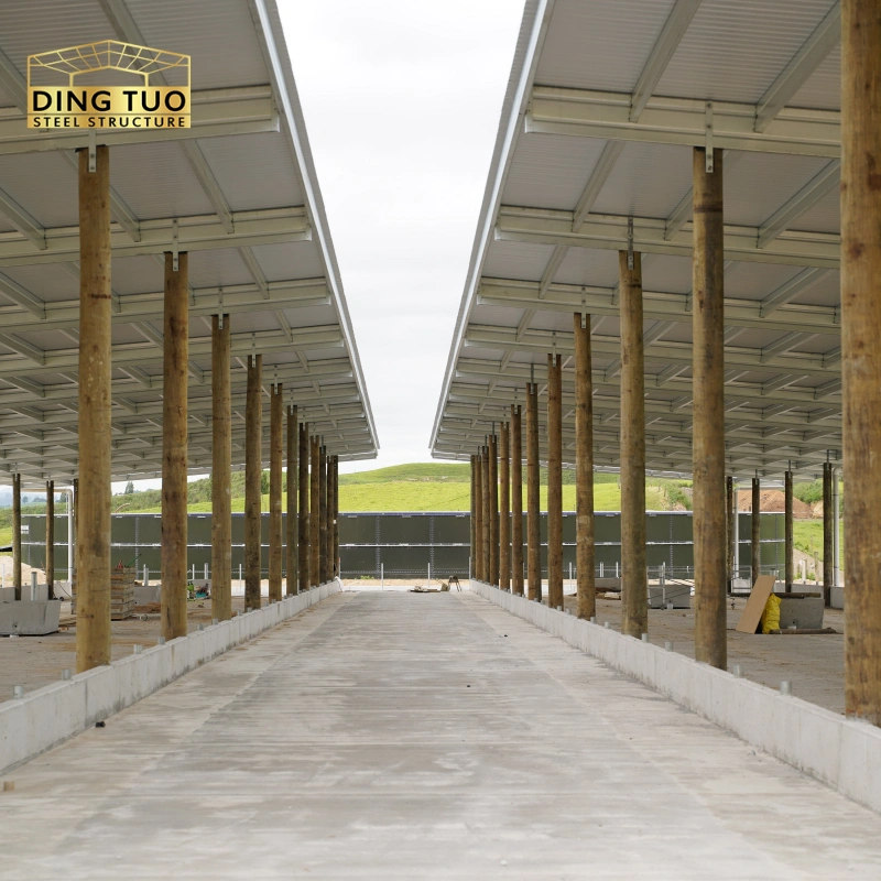 modern design steel structure building for cow and cattle dairy milking farm shed goat farm sheds