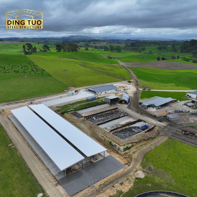 modern design steel structure building for cow and cattle dairy milking farm shed goat farm sheds