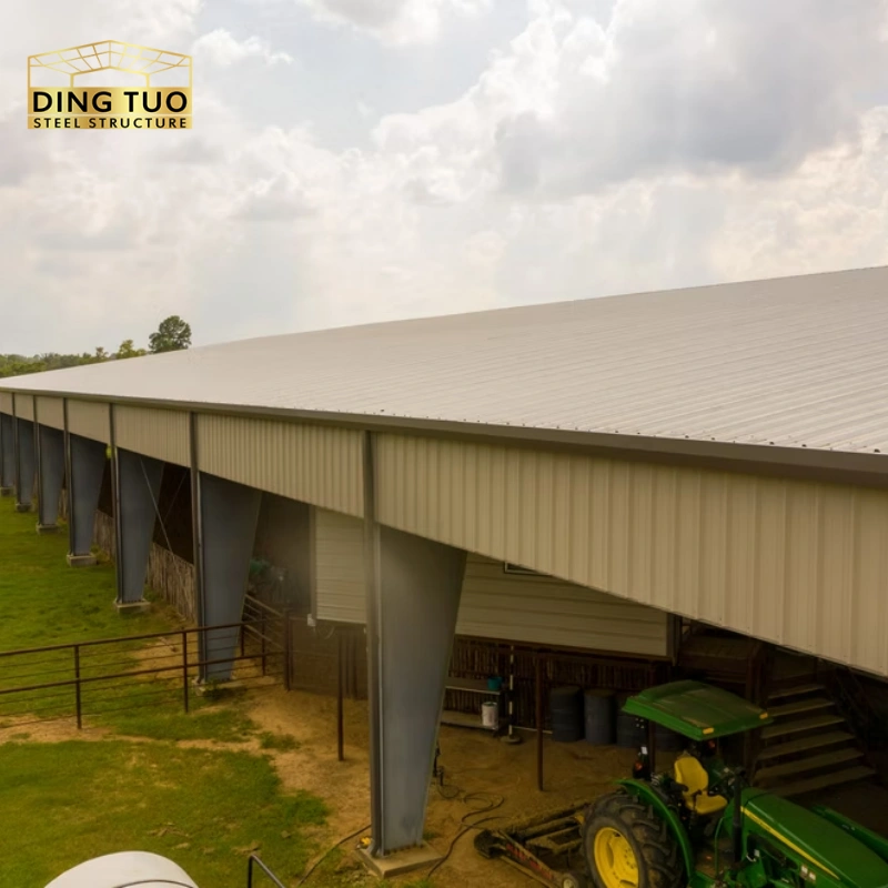 modern design steel structure building for cow and cattle dairy milking farm shed goat farm sheds