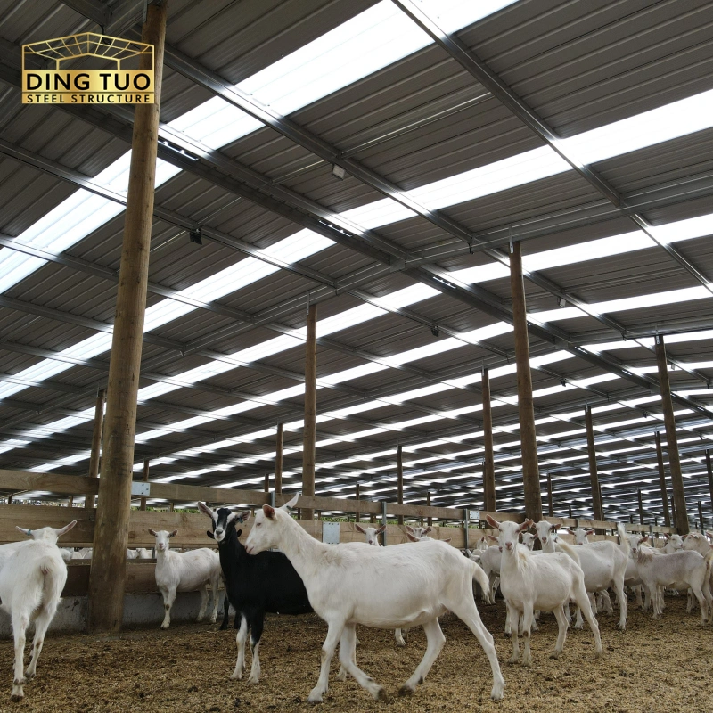 modern design steel structure building for cow and cattle dairy milking farm shed goat farm sheds
