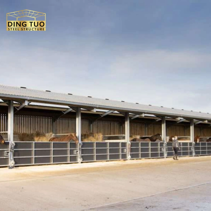 modern design steel structure building for cow and cattle dairy milking farm shed goat farm sheds