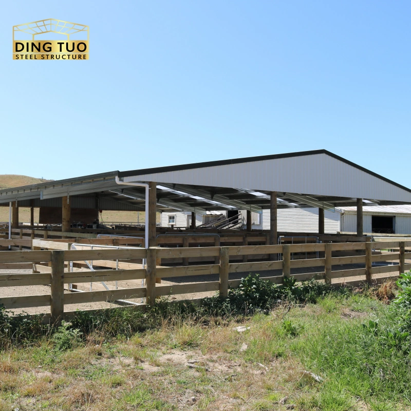modern design steel structure building for cow and cattle dairy milking farm shed goat farm sheds