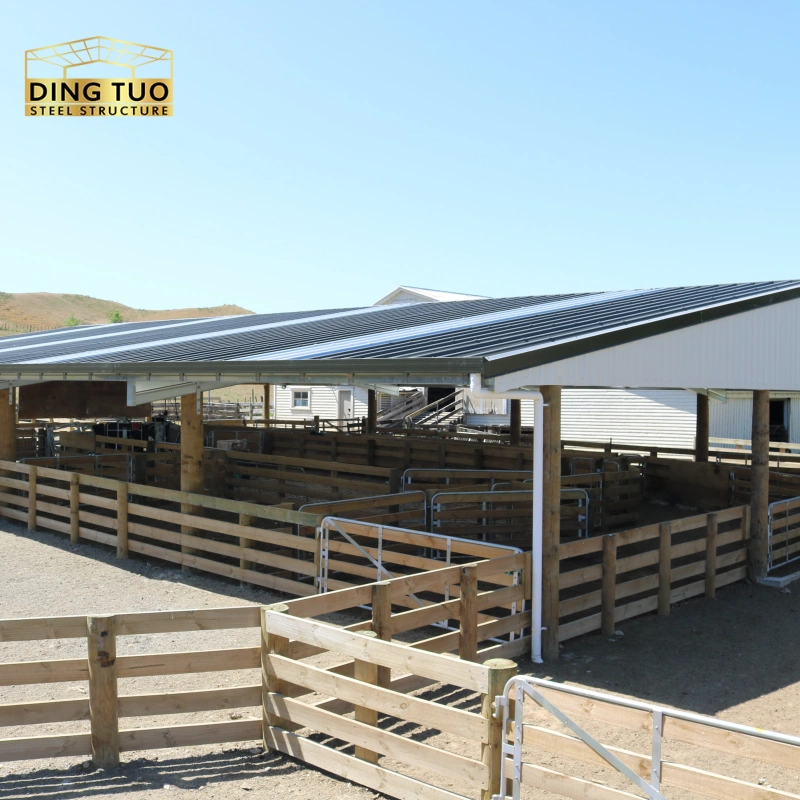 modern design steel structure building for cow and cattle dairy milking farm shed goat farm sheds