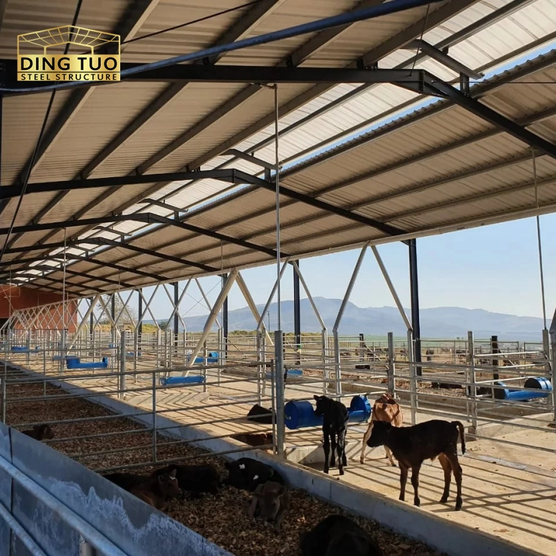 modern design steel structure building for cow and cattle dairy milking farm shed goat farm sheds