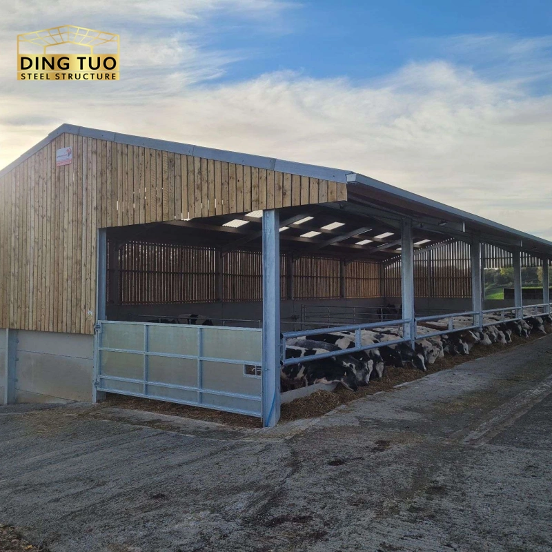 modern design steel structure building for cow and cattle dairy milking farm shed goat farm sheds