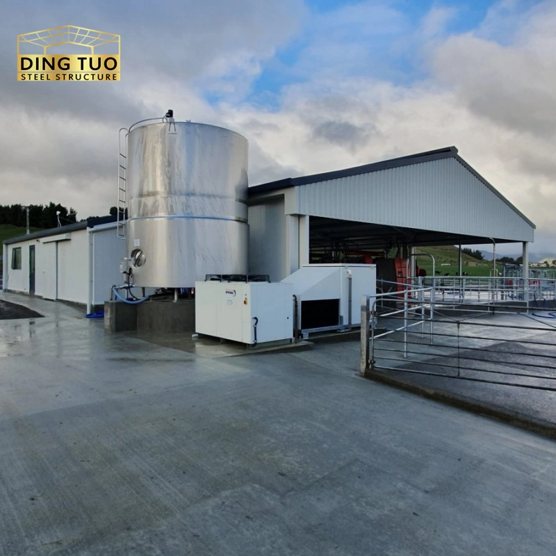 modern design steel structure building for cow and cattle dairy milking farm shed goat farm sheds