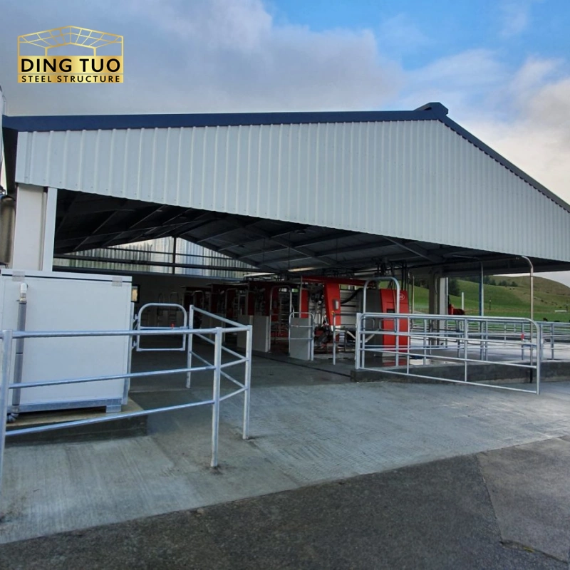 modern design steel structure building for cow and cattle dairy milking farm shed goat farm sheds