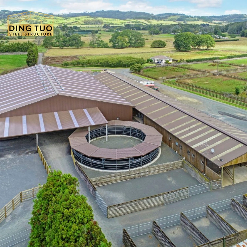 modern design steel structure building for cow and cattle dairy milking farm shed goat farm sheds