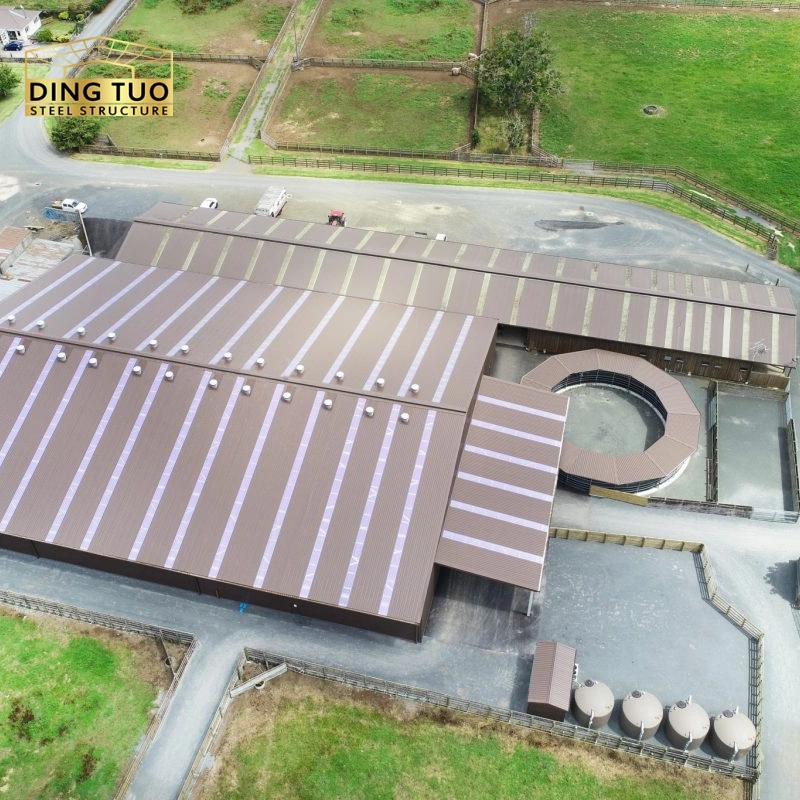 modern design steel structure building for cow and cattle dairy milking farm shed goat farm sheds