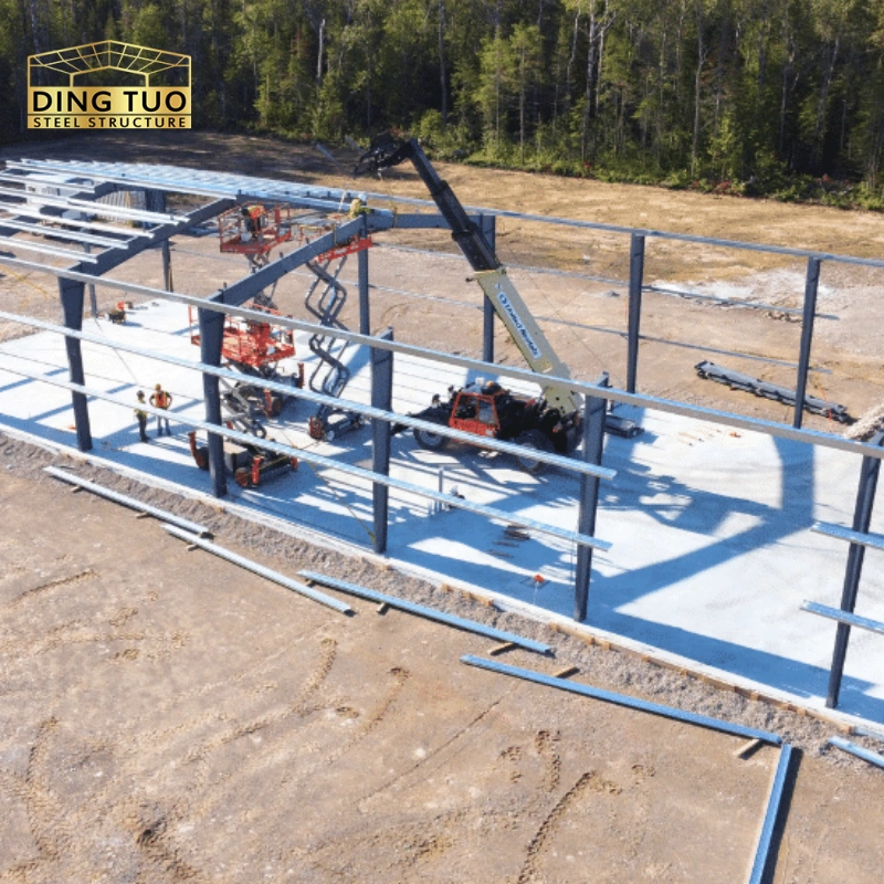 steel structure livestock shed farm building chicken coop cattle shed breeding farm (复制)